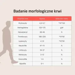 Tabela z badaniem morfologicznym krwi, pokazująca normy dla erytrocytów, hemoglobiny, hematokrytu, trombocytów, leukocytów i ich podtypów, takich jak krwinki białe.