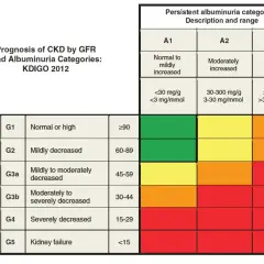Tabela KDIGO 2012: prognoza PChN wg GFR i albuminurii. Kolory wskazują ryzyko. egfr co to? To wskaźnik funkcji nerek.