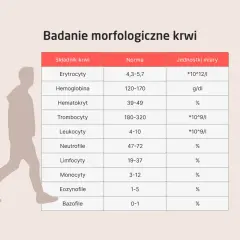 Tabela z badaniem morfologicznym krwi, uwzględniająca normy dla erytrocytów, hemoglobiny i innych składników.