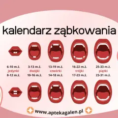 Kiedy wychodzą zęby? Kalendarz, objawy i ulga dla malucha