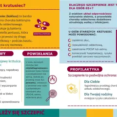 Szczepionka na krztusiec dla dorosłych cena - informacje o chorobie, objawach i powikłaniach. Szczepienie chroni Ciebie i Twoją rodzinę.