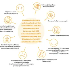 Diagram przedstawia korzyści z probiotyków, w tym wsparcie w walce z nadwagą, poprawę funkcji poznawczych i kardiometabolicznych, a także łagodzenie objawów żołądkowo-jelitowych, np. przy stosowaniu metforminy. Wymieniono szczepy, w tym Bifidobacterium...