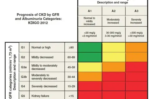 Tabela KDIGO 2012: prognoza PChN wg GFR i albuminurii. Kolory wskazują ryzyko. egfr co to? To wskaźnik funkcji nerek.
