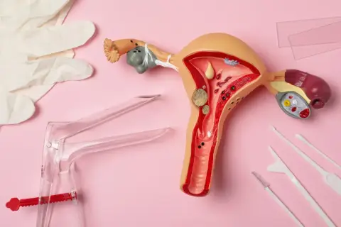 Model narządu rodnego z widocznymi zmianami, narzędzia ginekologiczne i rękawiczki. Wczesne wykrycie raka endometrium objawy są kluczowe.