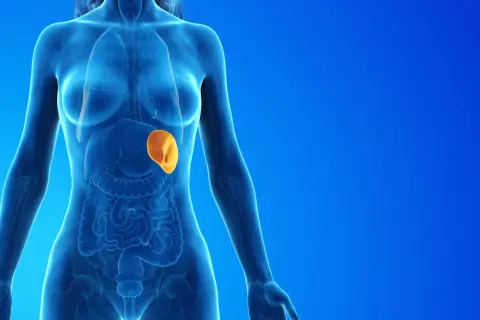 Anatomical illustration showing a translucent blue human torso with internal organs. A bright orange, enlarged spleen is highlighted.