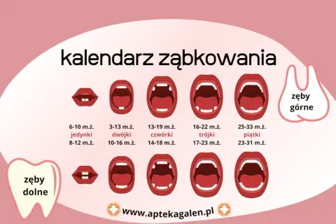 Kiedy wychodzą zęby? Kalendarz, objawy i ulga dla malucha