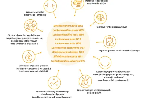 Diagram przedstawia korzyści z probiotyków, w tym wsparcie w walce z nadwagą, poprawę funkcji poznawczych i kardiometabolicznych, a także łagodzenie objawów żołądkowo-jelitowych, np. przy stosowaniu metforminy. Wymieniono szczepy, w tym Bifidobacterium...