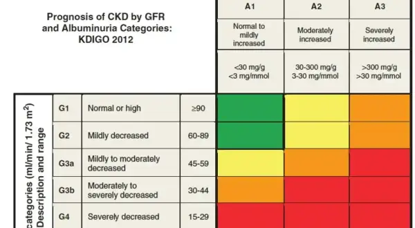 Tabela KDIGO 2012: prognoza PChN wg GFR i albuminurii. Kolory wskazują ryzyko. egfr co to? To wskaźnik funkcji nerek.