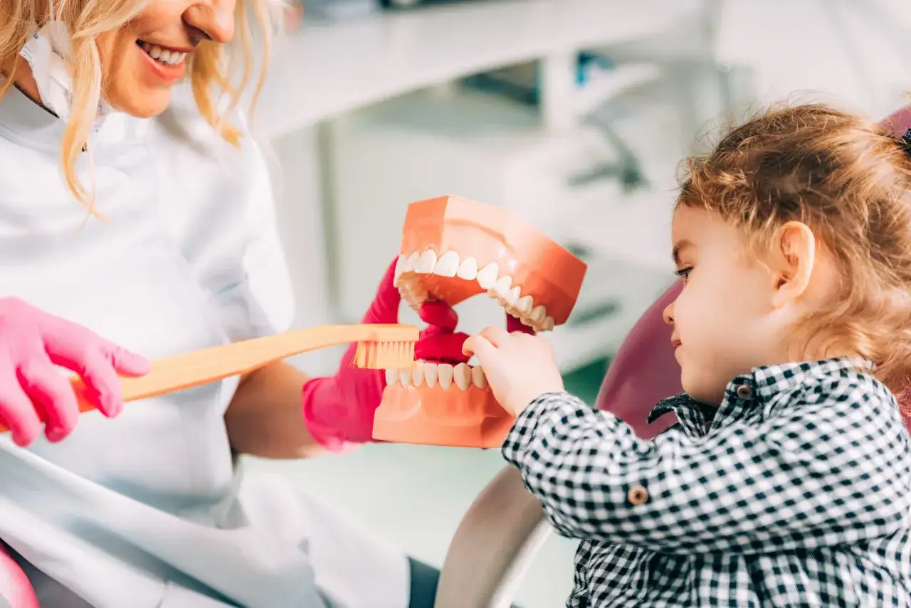 Dentystka pokazuje dziecku, jak szczotkować zęby, by zapobiec próchnicy u dzieci. Model szczęki i szczoteczka.
