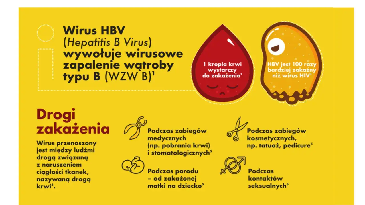Wirus HBV wywołuje zapalenie wątroby. 1 kropla krwi wystarczy do zakażenia. HBV jest 100 razy bardziej zakaźny niż wirus HIV.