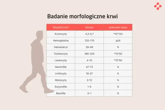 Erytrocyty w morfologii - jak czytać RBC, HGB i MCV?