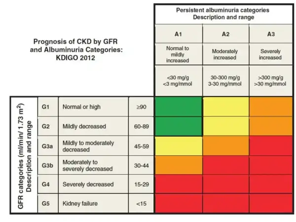 Tabela KDIGO 2012: prognoza PChN wg GFR i albuminurii. Kolory wskazują ryzyko. egfr co to? To wskaźnik funkcji nerek.